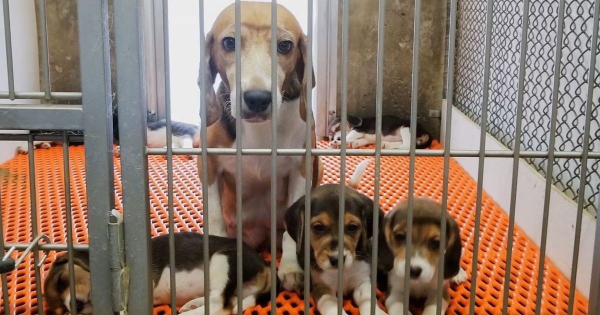 Источник: natgeofe.com