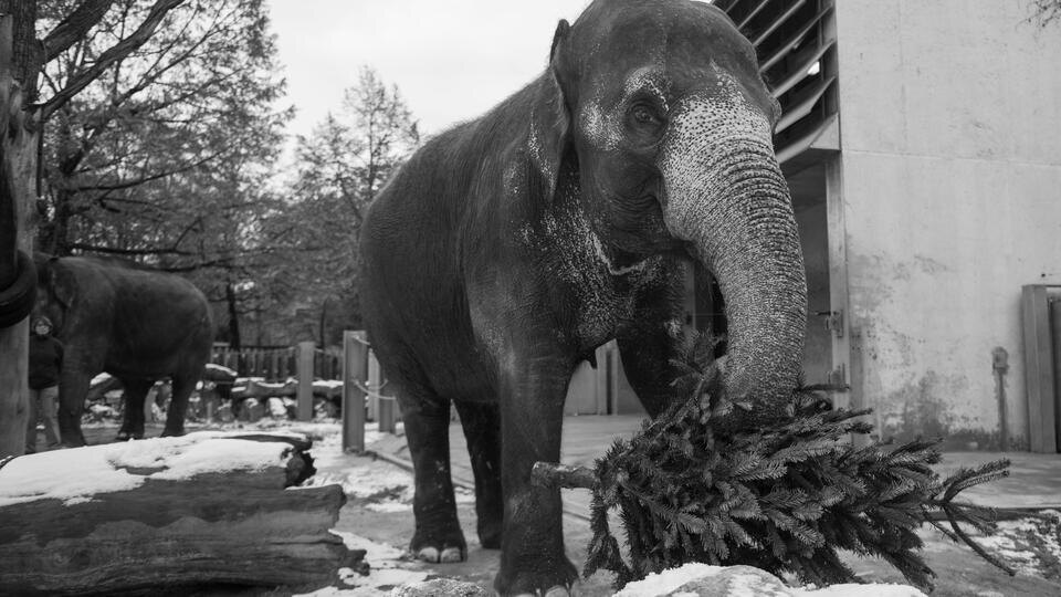 Фото: © www.globallookpress.com/Lino Mirgeler/dpa