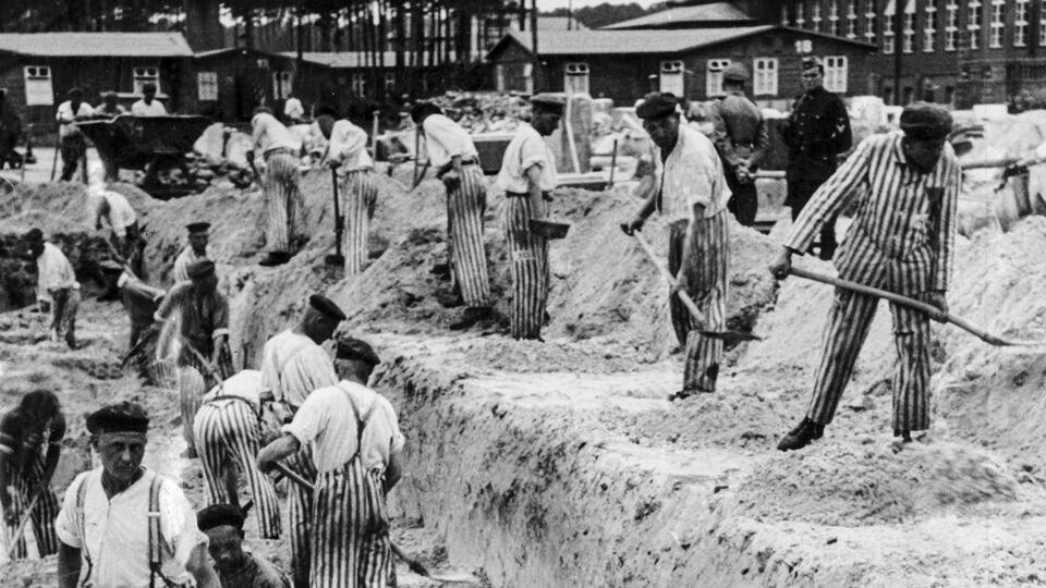 Фото: © www.globallookpress.com/Scherl