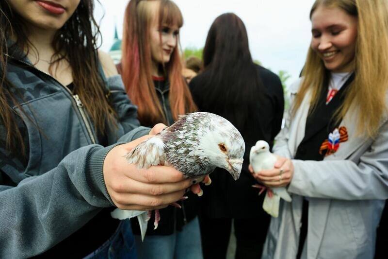 Листайте вправо, чтобы увидеть больше изображений