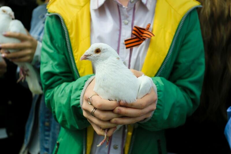 Листайте вправо, чтобы увидеть больше изображений