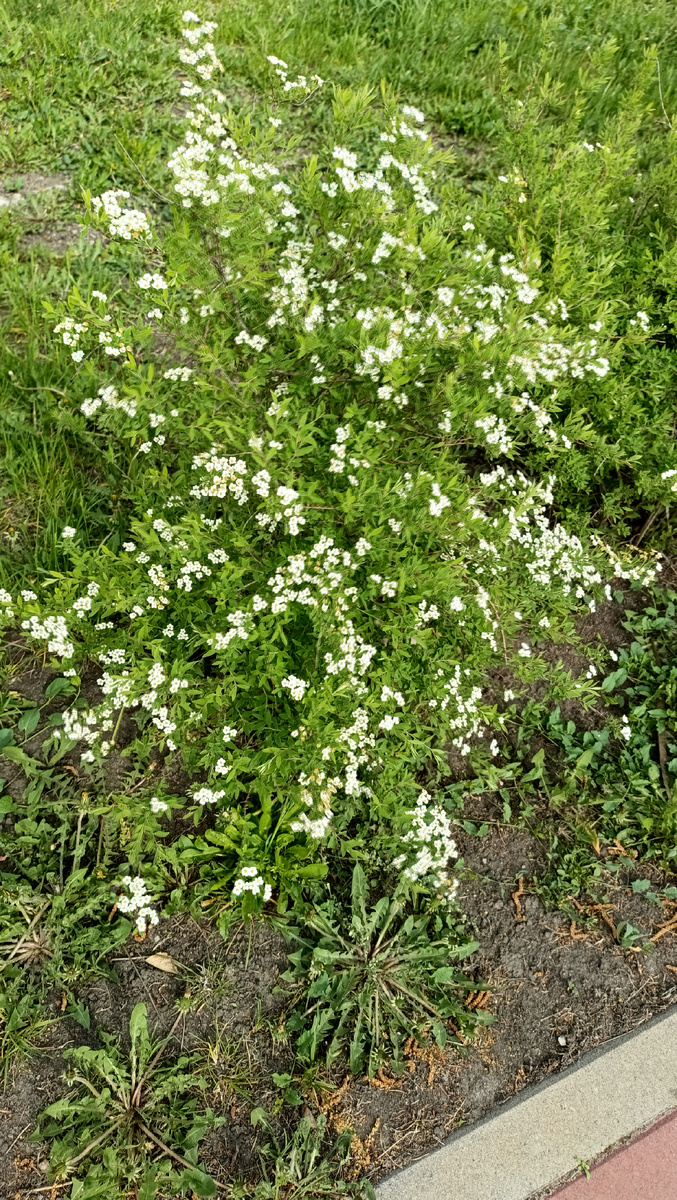 Фото с прогулки