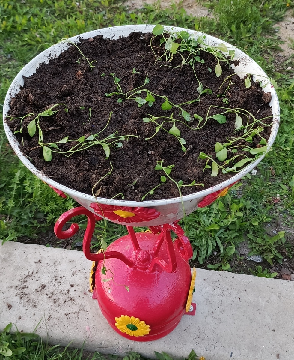 Фото автора статьи