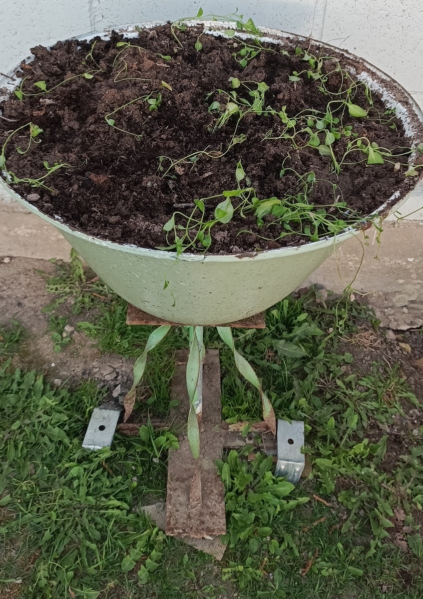 Фото автора статьи