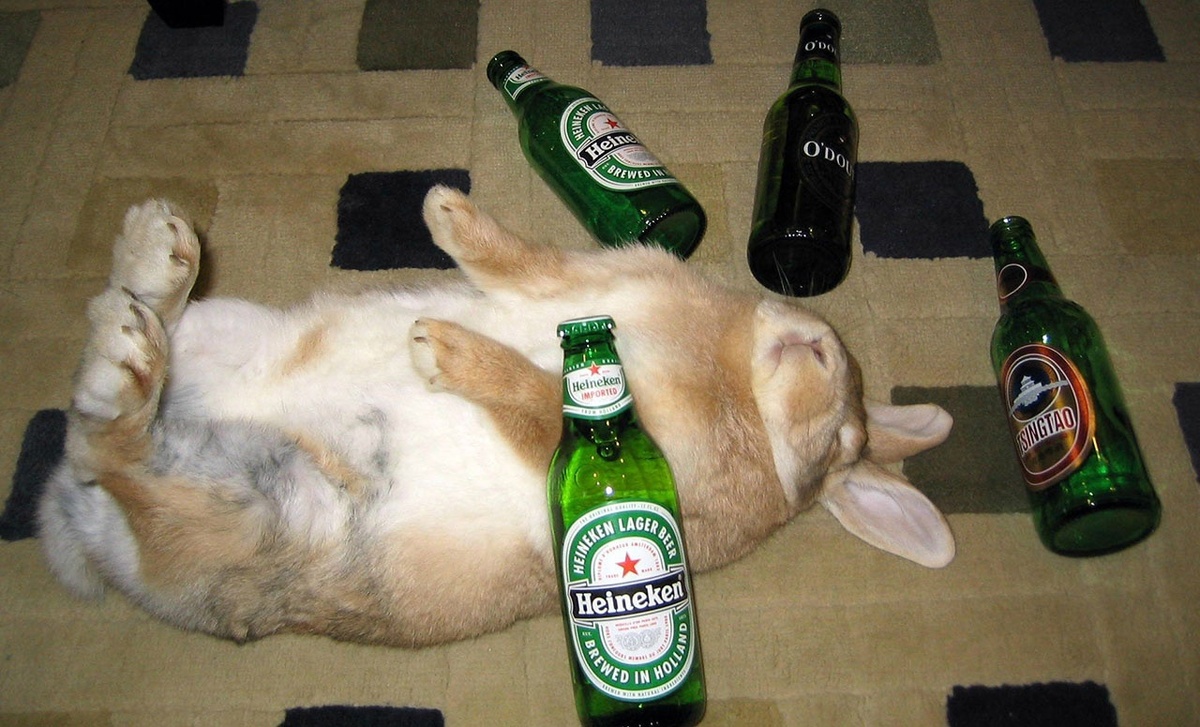 Из просторов всемирной паутины.