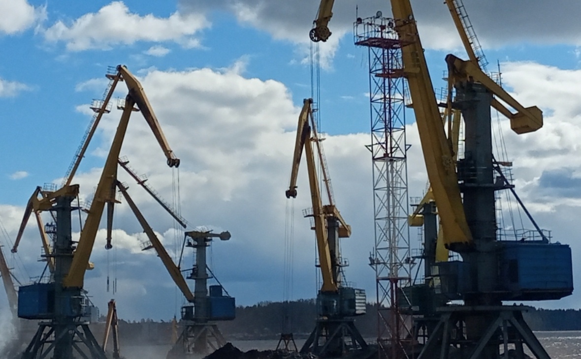 Фото: РБК Черноземье