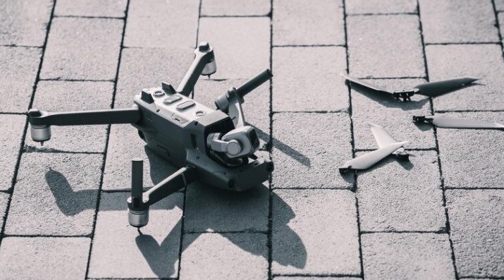    Фото: ru.freepik.com Александра Горохова