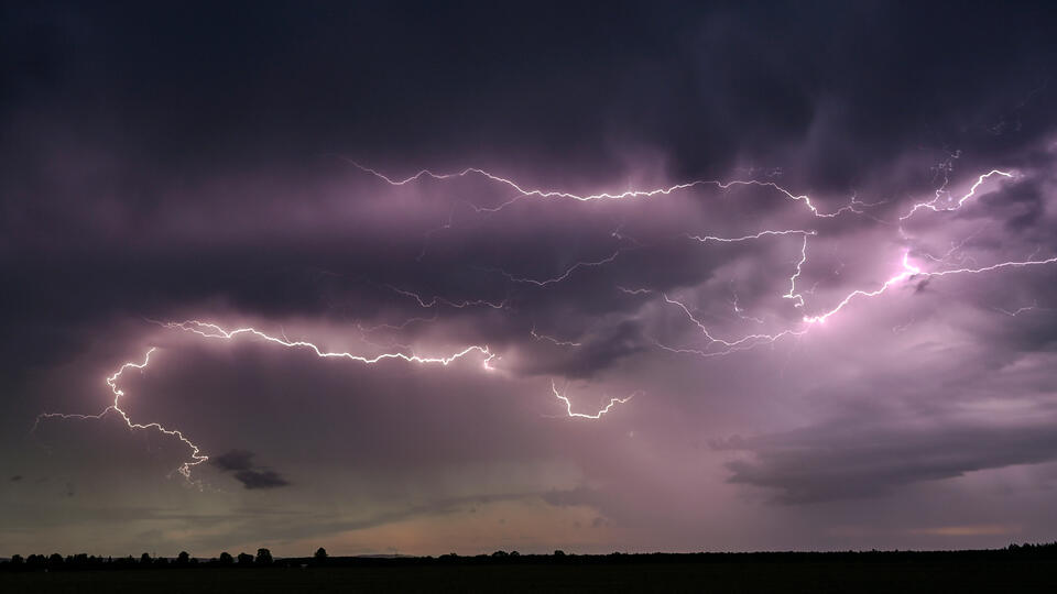 Фото: © Patrick Pleul/AP/TASS