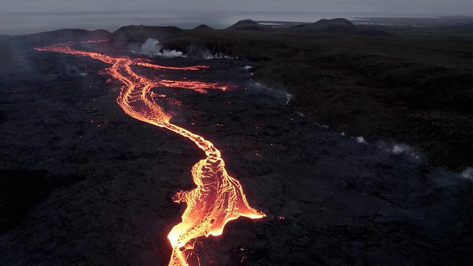 Фото: © Кадр из программы «Как устроен мир», РЕН ТВ