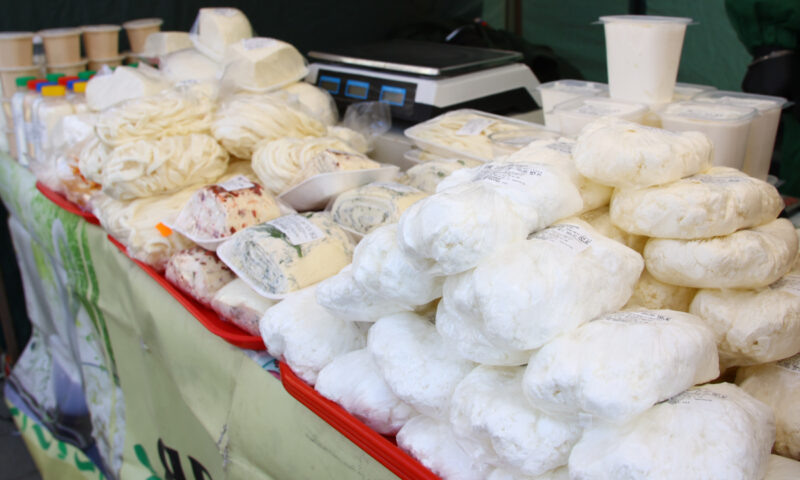    Фото пресс-службы администрации Краснодара