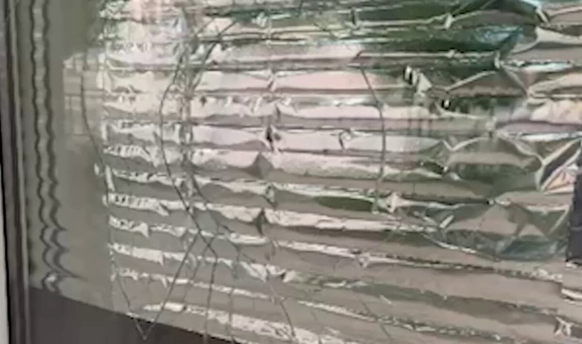    Фото t.me/rosgvard_krasnodar