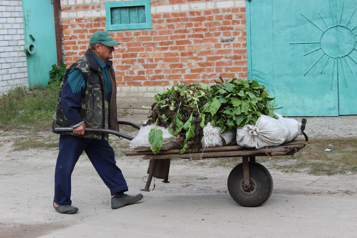 Прохор заботится о козочках