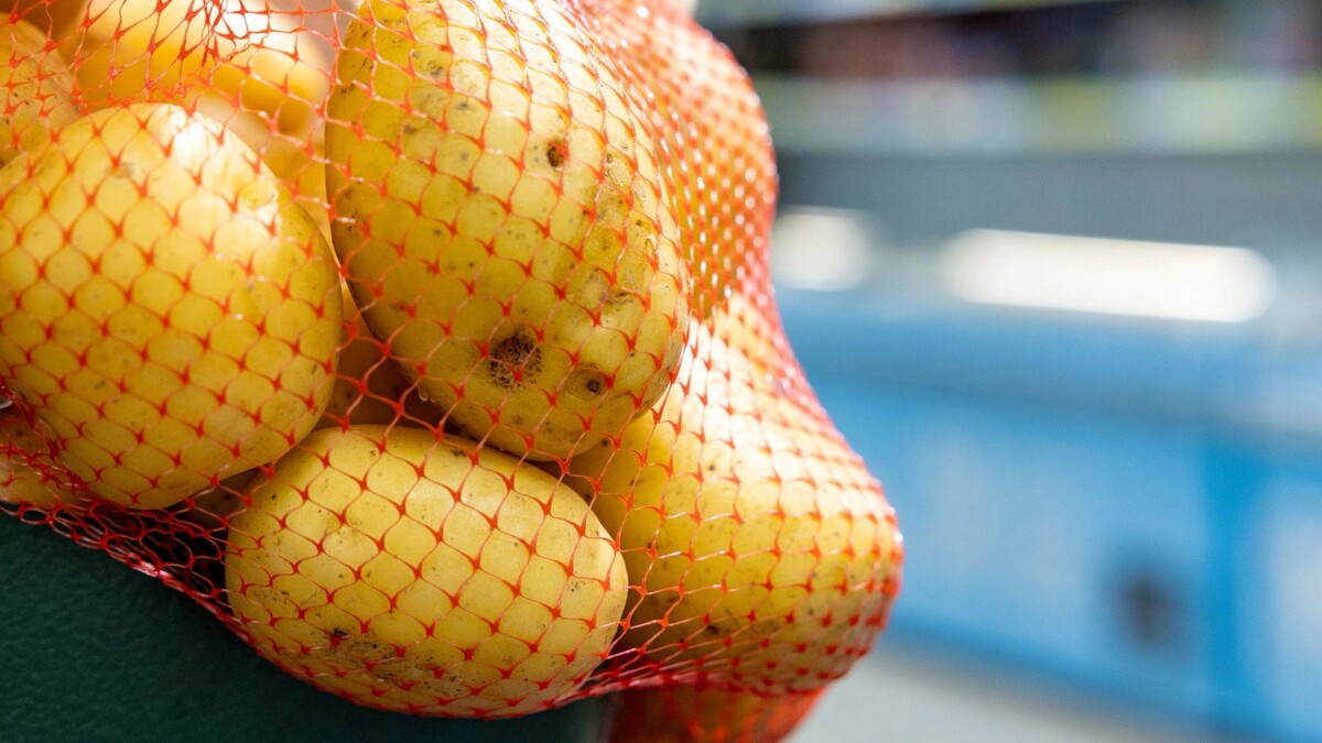    Фото: Андрей Ткачев/«Ямал-Медиа»