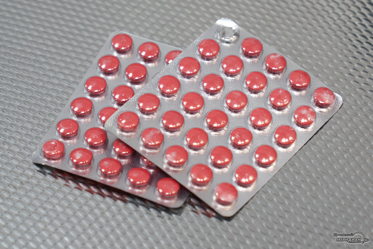    Фото: Лидия Аникина © ИА «Уральский меридиан»