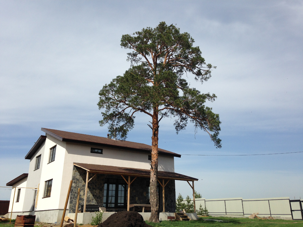 В 2014 наш дом выглядел так