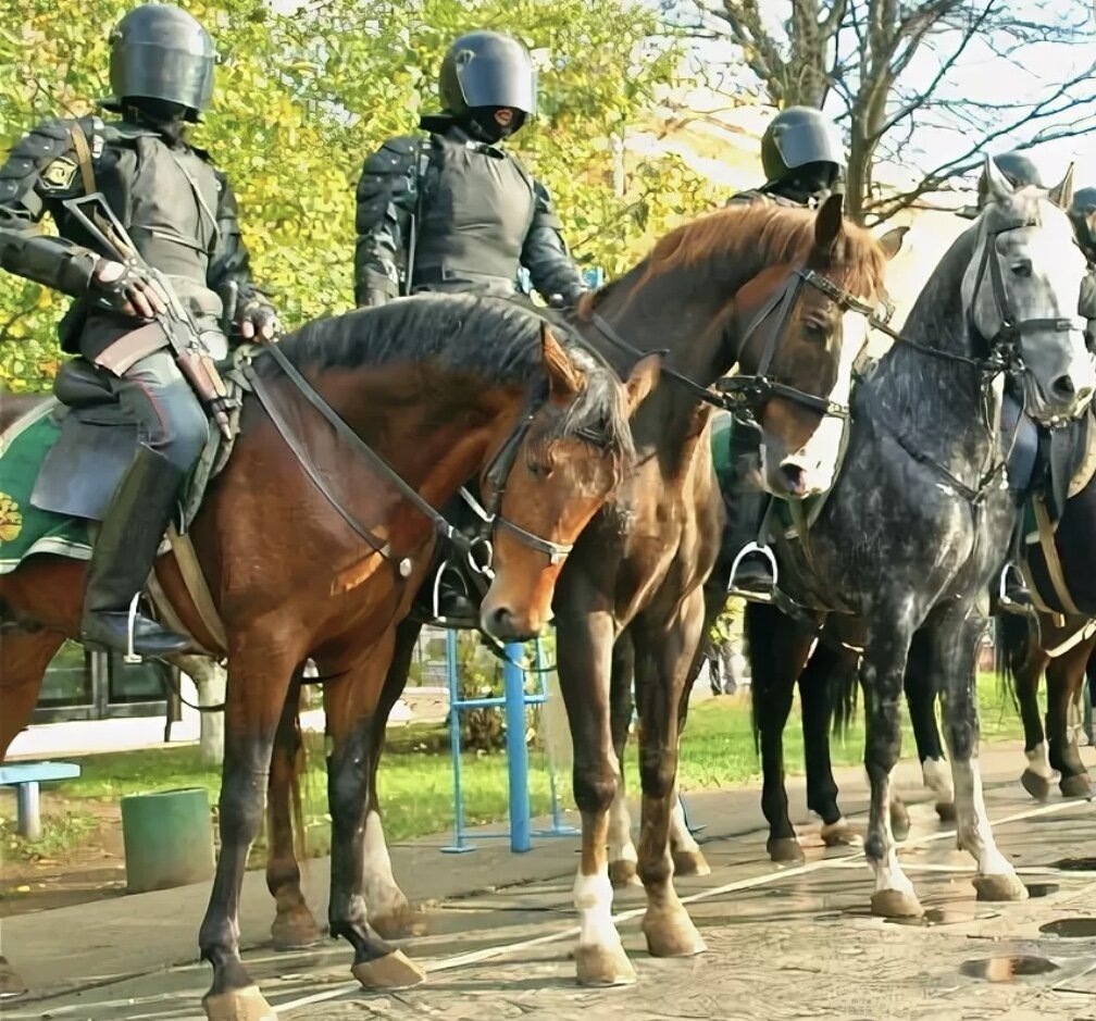 Отряд "КОБРа" (конный отряд быстрого реагирования Абрамова) Абрамов Ю.М. - подполковник милиции, командир кавалерийского батальона, создатель отряда Кобра. Ныне покойный ветеран МВД.