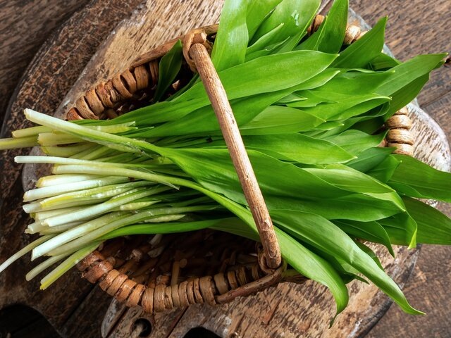    Фото: 123RF/madeleinesteinbach