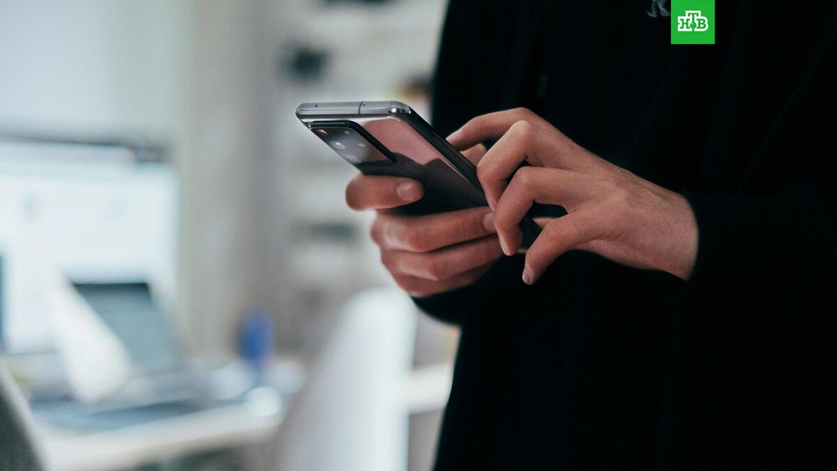    Фото: Jonas Leupe / unsplash.com