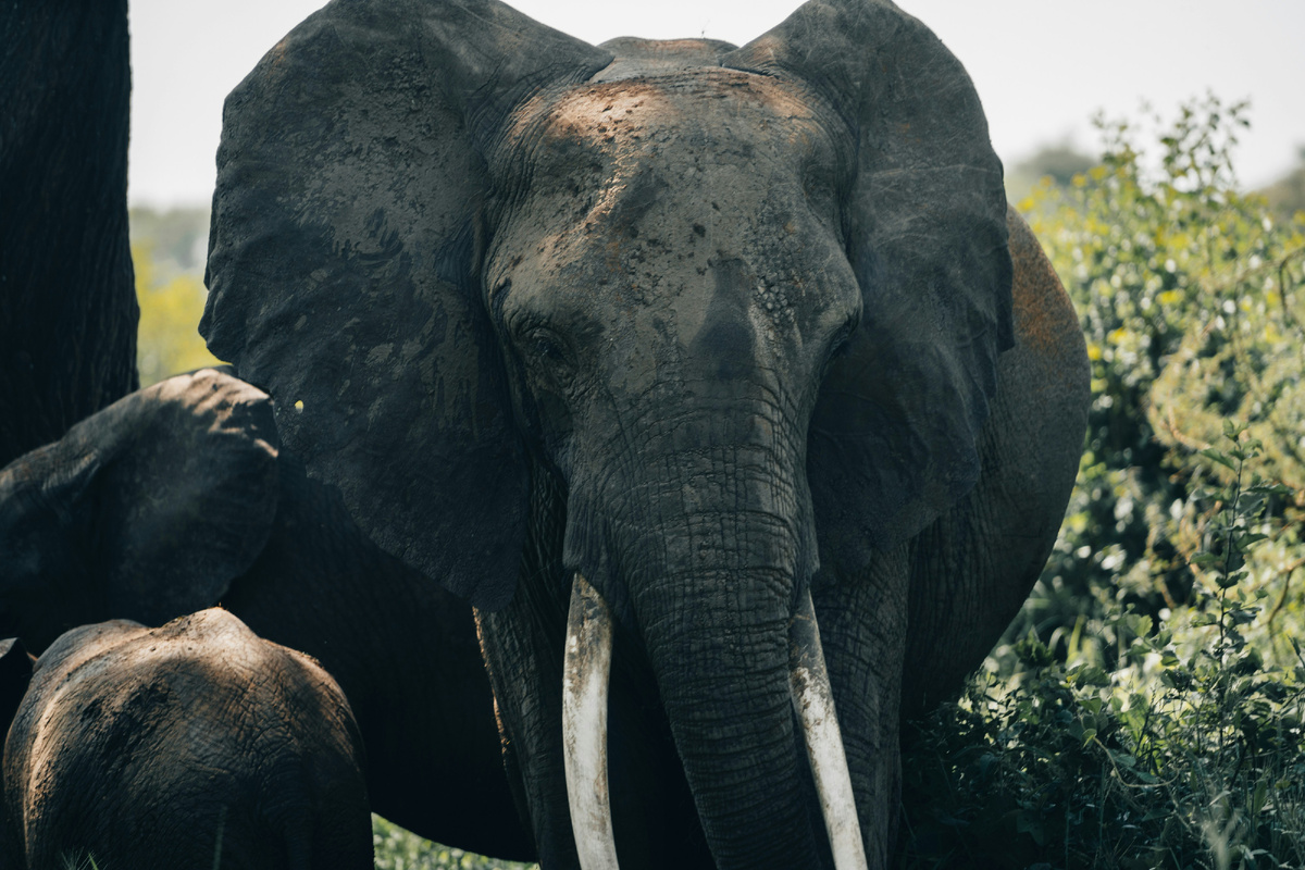 Картинка с бесплатного фотостока https://unsplash.com, автор Peter Thomas