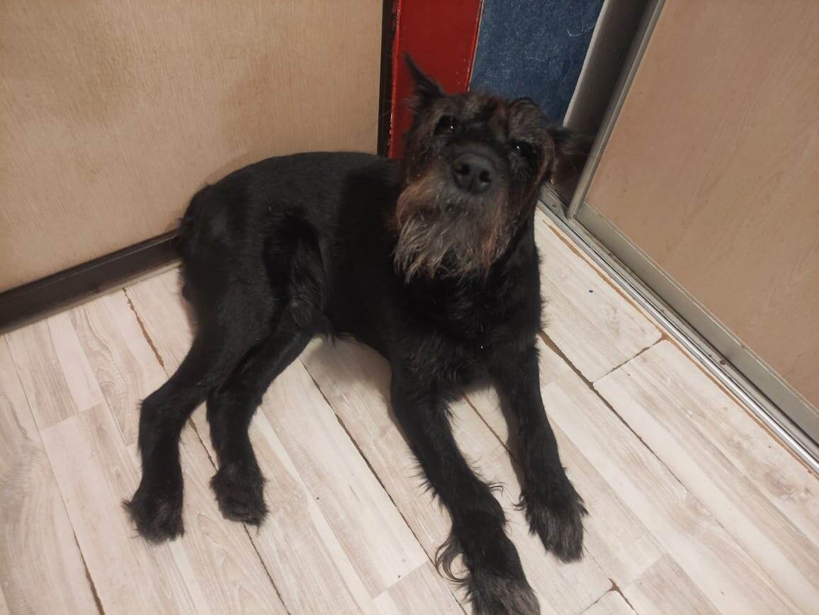 Вот, собственно, Найт