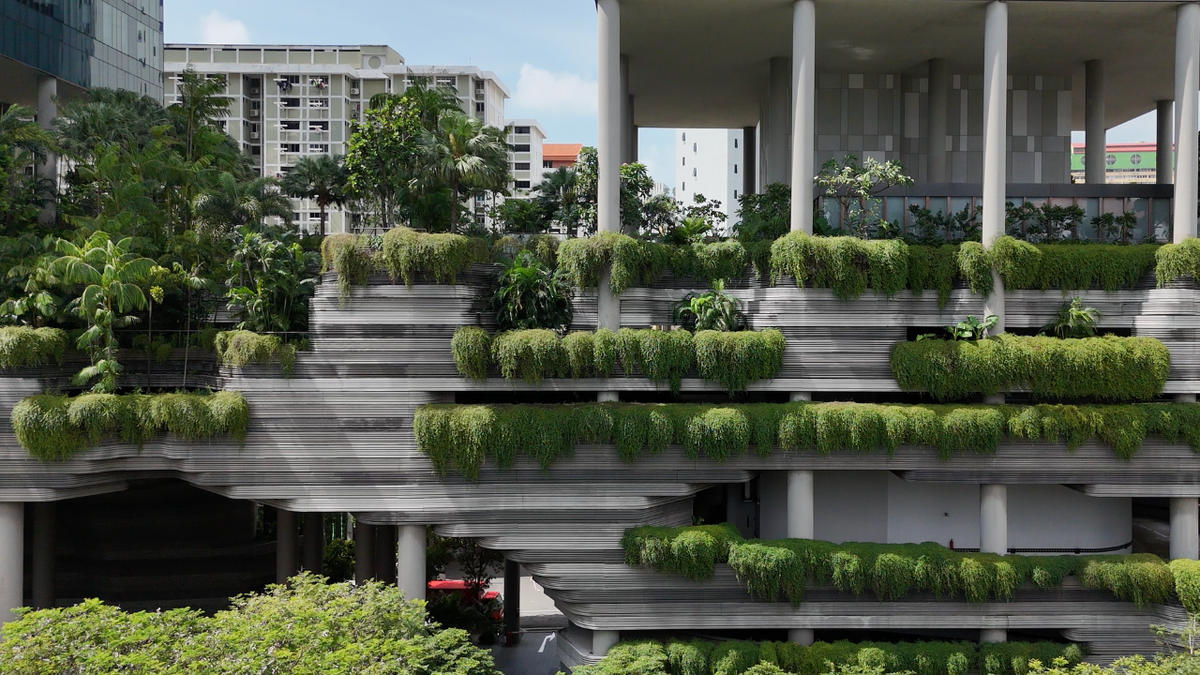 Фото из Сингапура