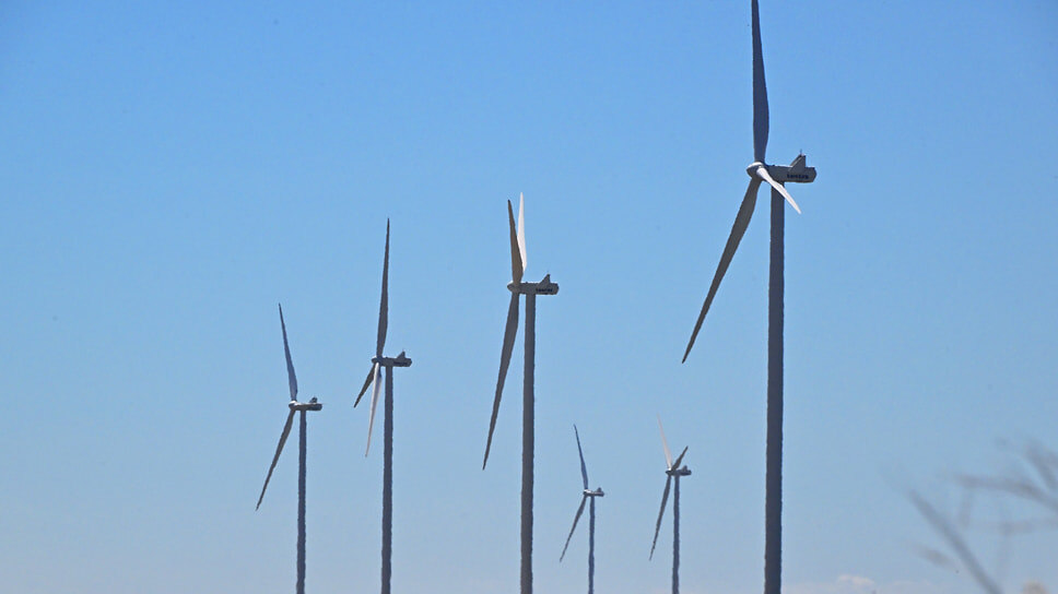 Фото: Анатолий Жданов / Коммерсантъ