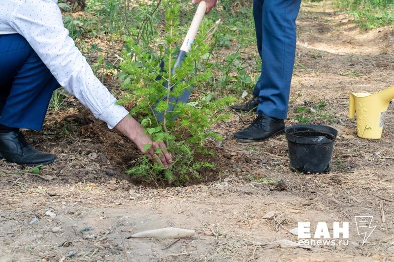    ЕАН. Архивное фото