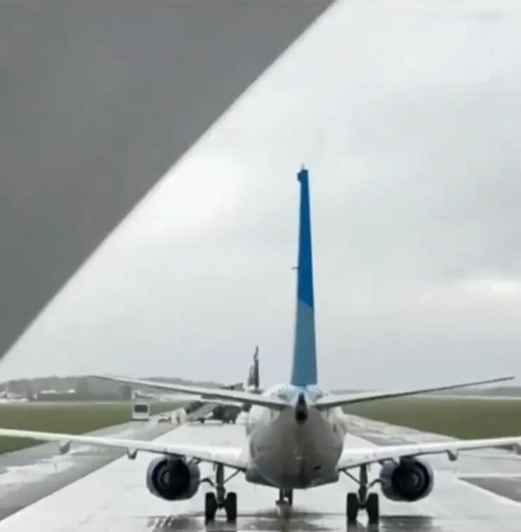    Фото: кадр видео из соцсетей