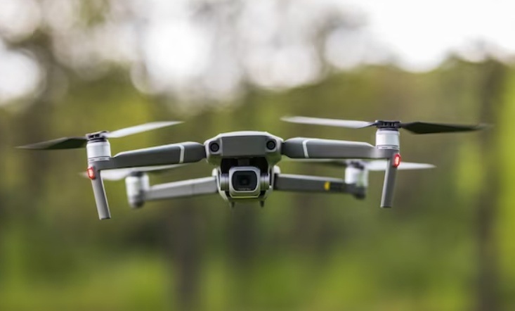    Фото: ru.freepik.com Александра Горохова