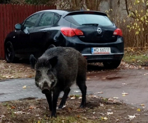 Фото из личного архива. 