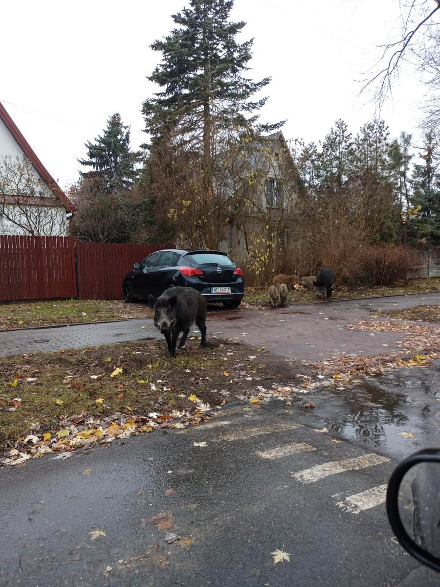 Фото из личного архива моего мужа. 