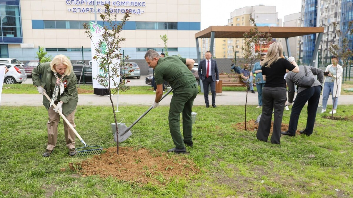     Источник: Волгоградская областная Дума