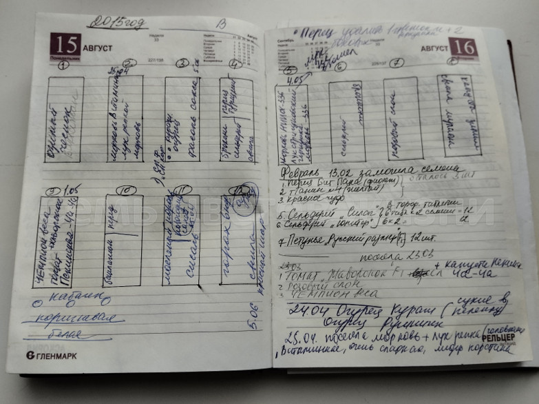 Мой огородный дневник