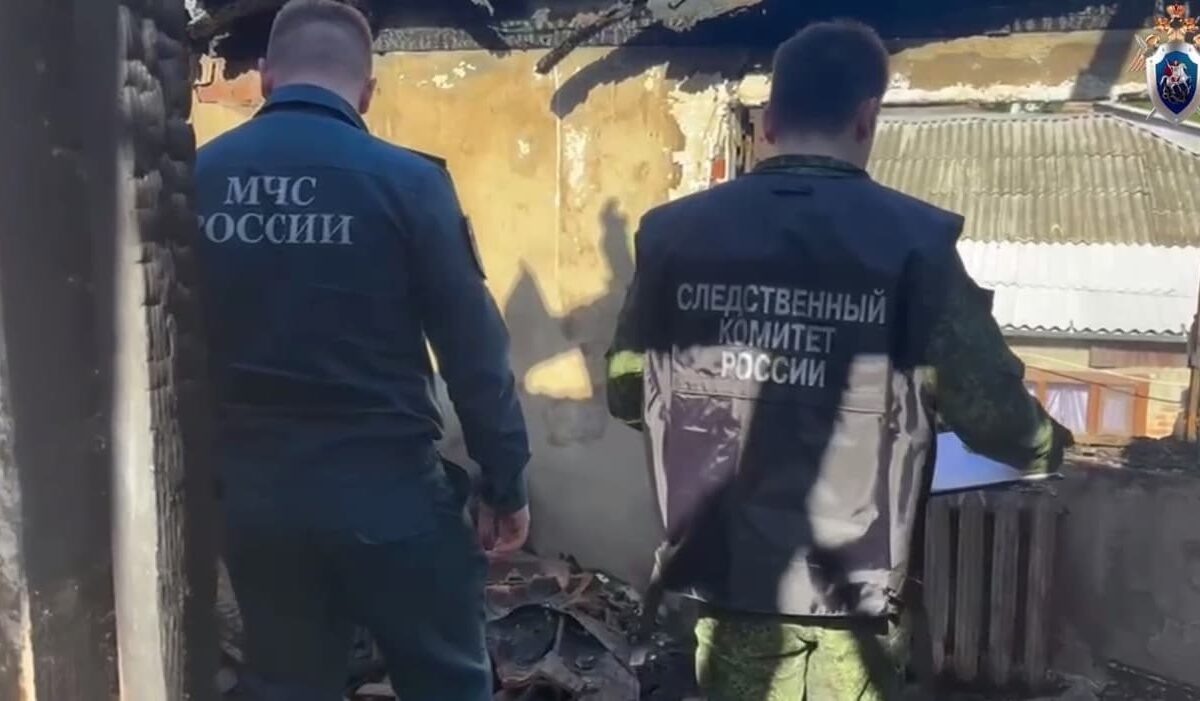    Фото t.me/kubansledcom