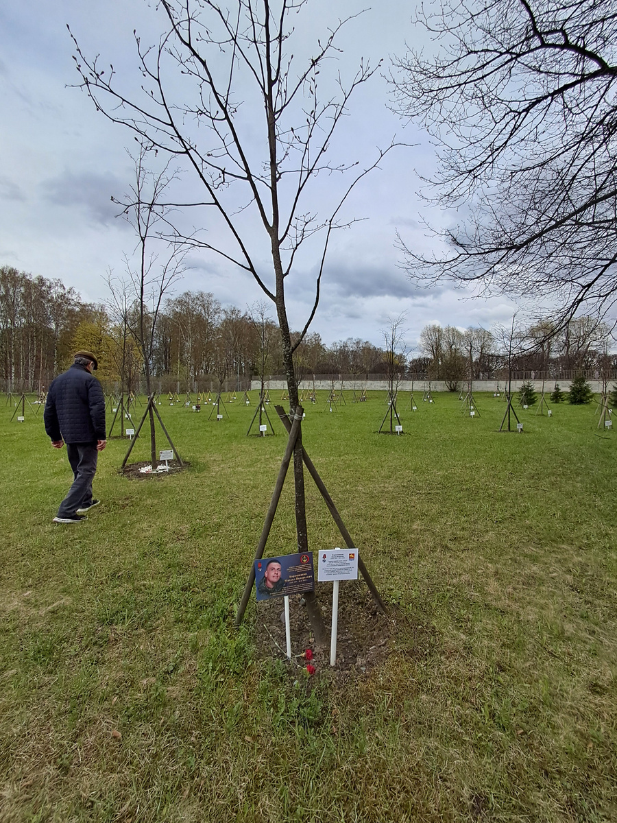 Фото автора 