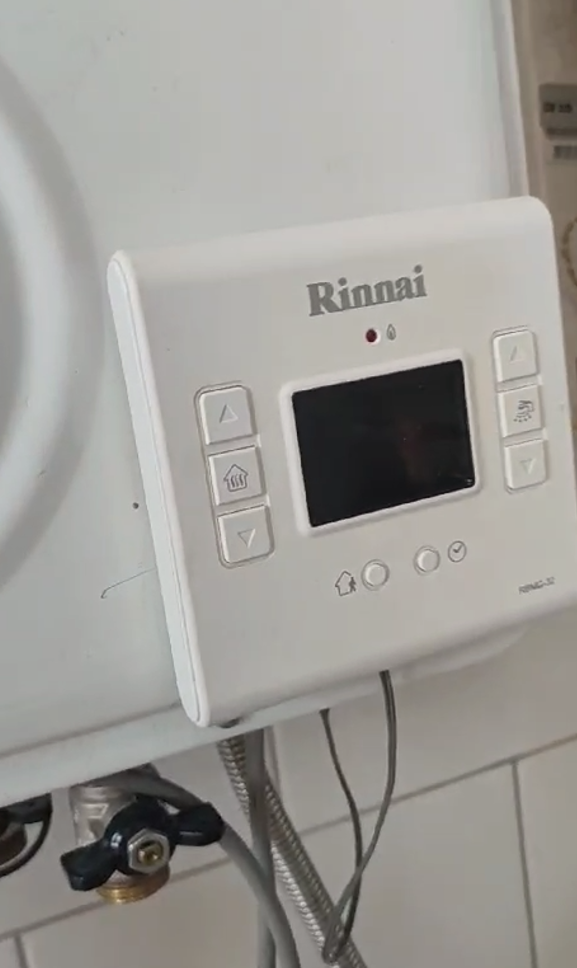 Котел Rinnai 2011 года выпуска. Проработал 13 лет, клиент менять его ни на что не захотел.