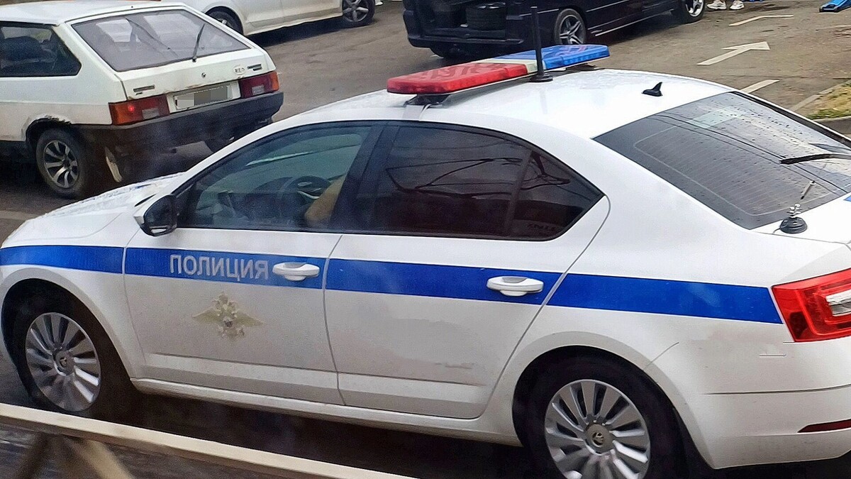     Автор: KubanPress