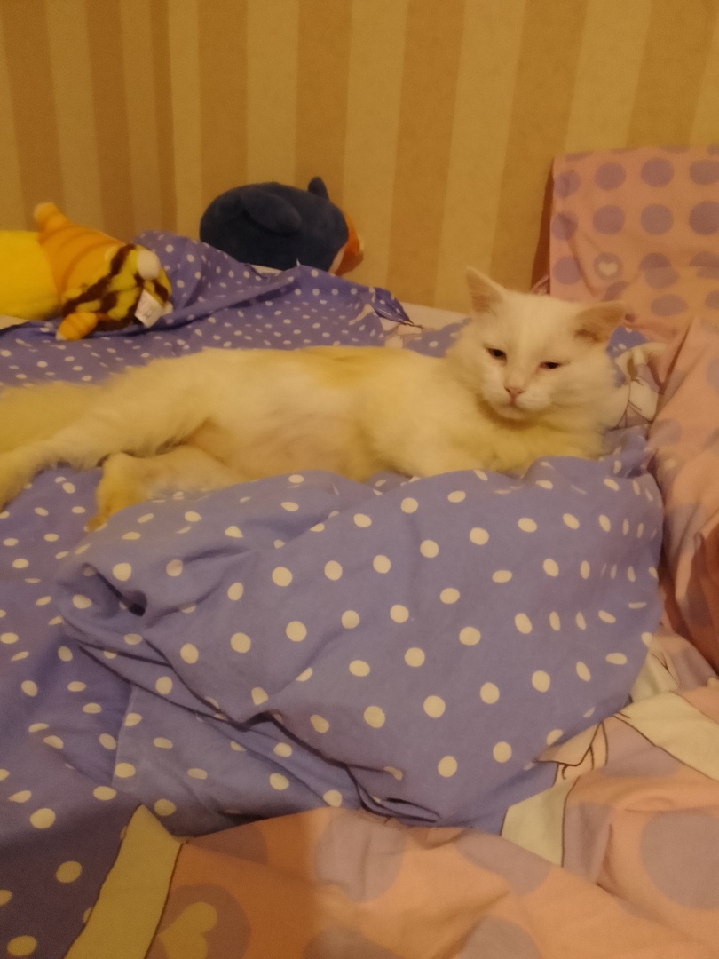 А на вид милашка