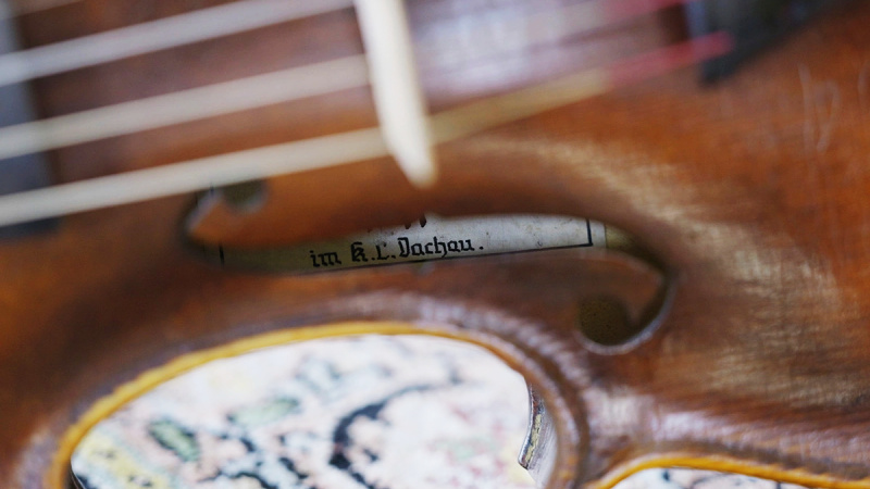    Скрипка надежды / rbc.ru