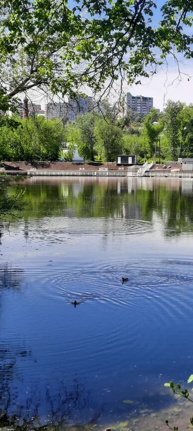 Река. Фото автора.