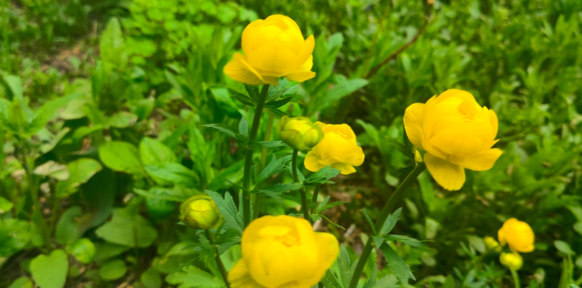Жизнь заставляет человека совершать много добровольных поступков.
Станислав Ежи Лец