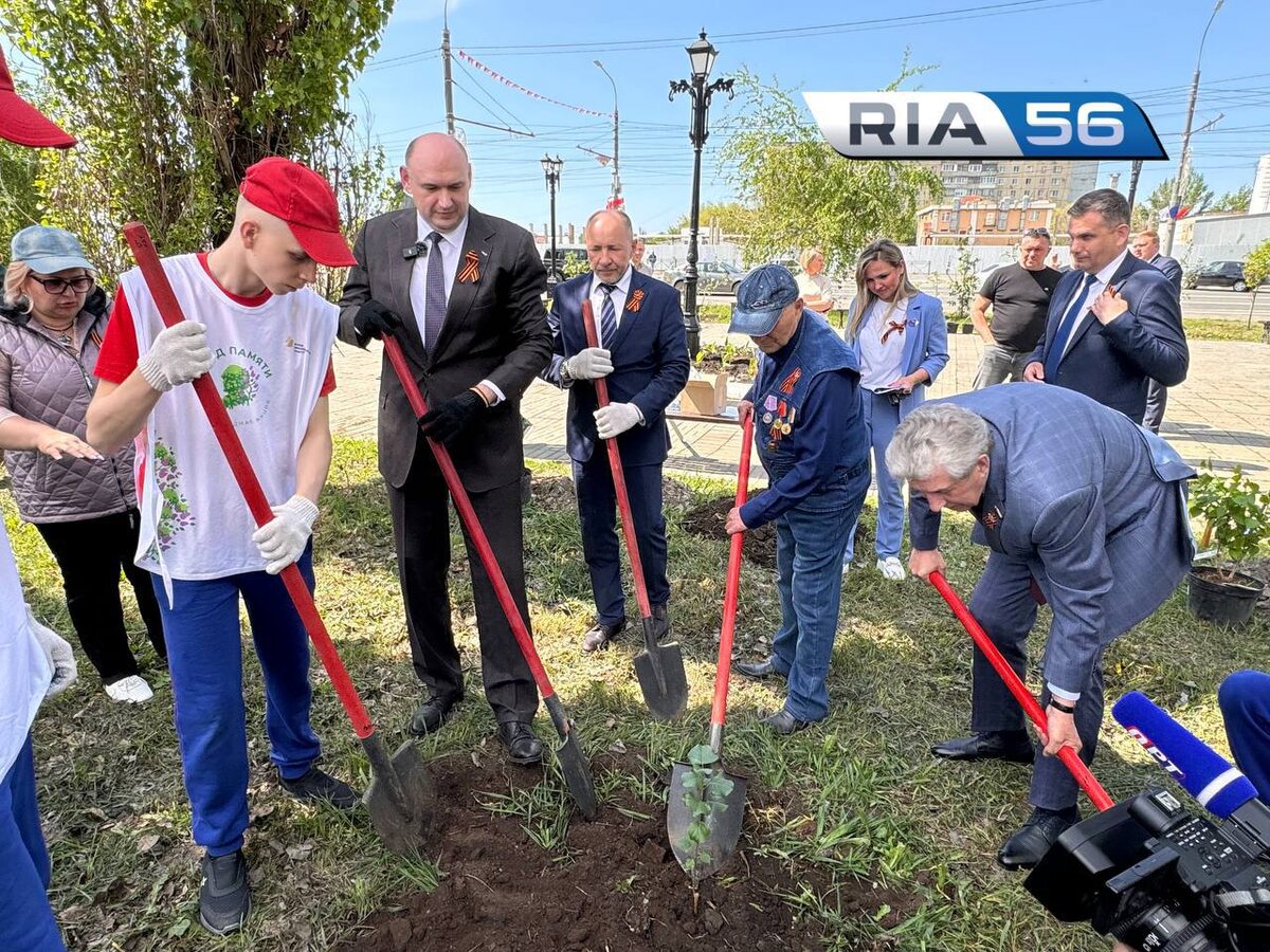  📷    В Оренбурге около Дома Памяти высадили «Тополь Победы» Андрей Севостьянов