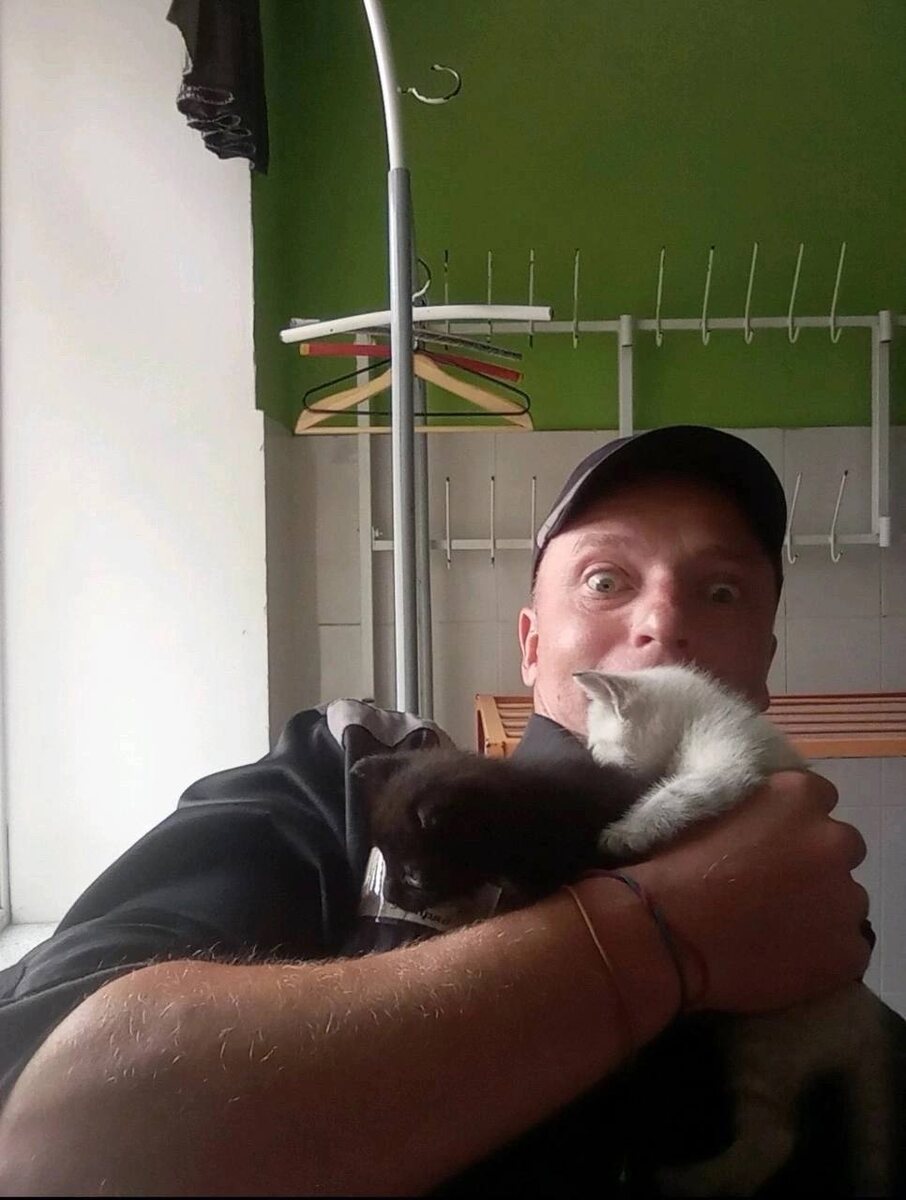 Что конкретно это за котята - он не помнит 😸