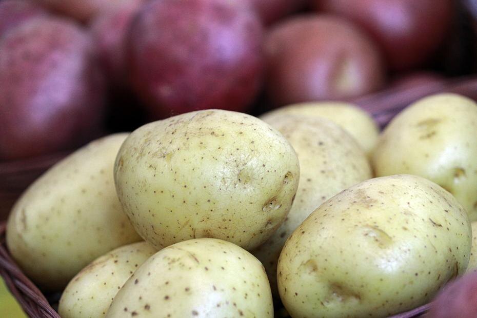    Сергей Булкин/NEWS.ru