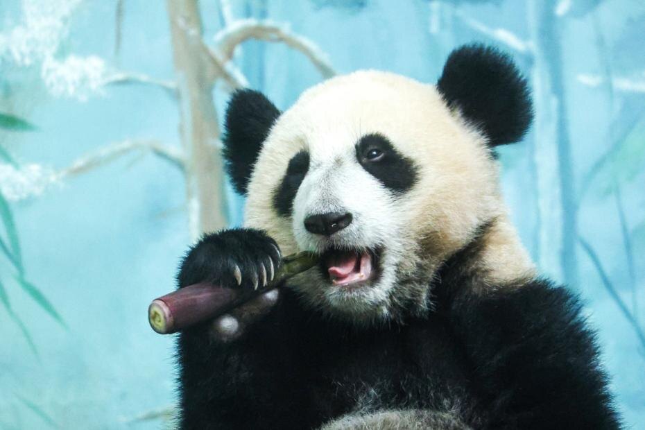    Сергей Петров/NEWS.ru