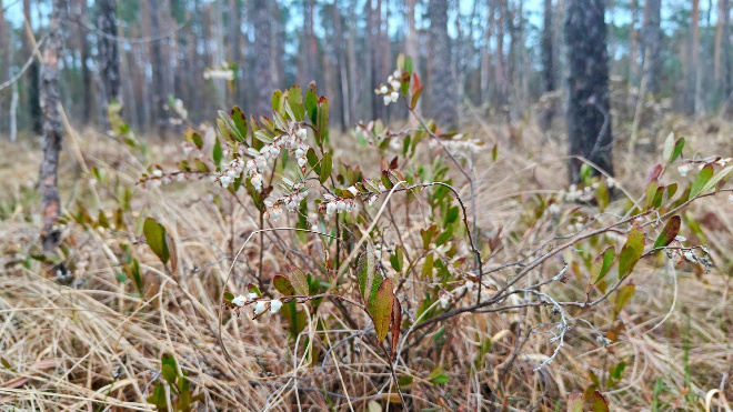 Фото: Павел Глазков