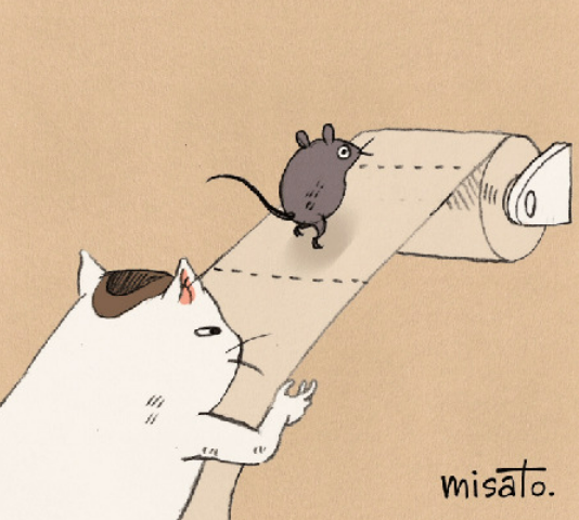 cr: misato