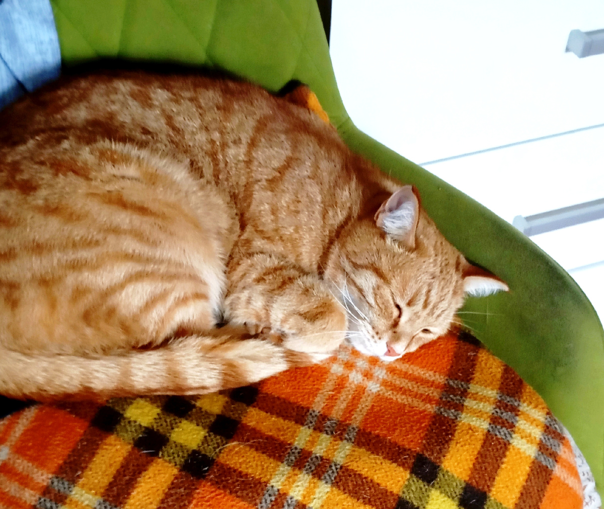 Я с утра на ногах,, а Сенька ещё спит.