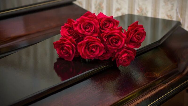    Фото: Perova Evgeniya/Shutterstock/Fotodom