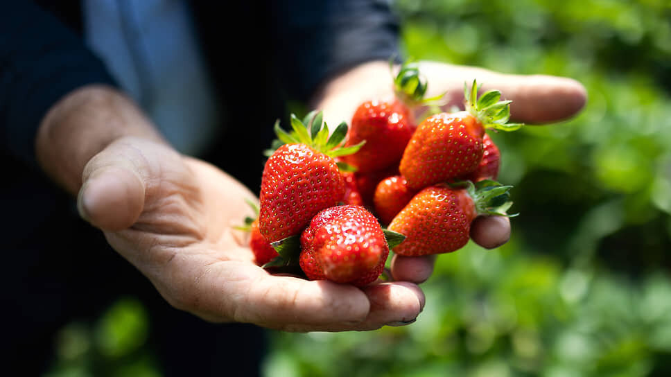 Фото: Александр Подгорчук / Коммерсантъ